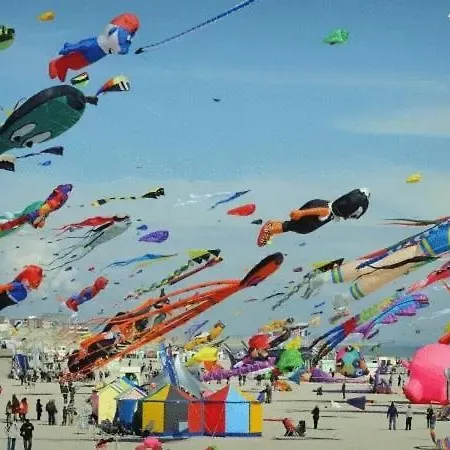 Le Nid Dieppois - Sur Les Quais De Dieppe, Entre Port &